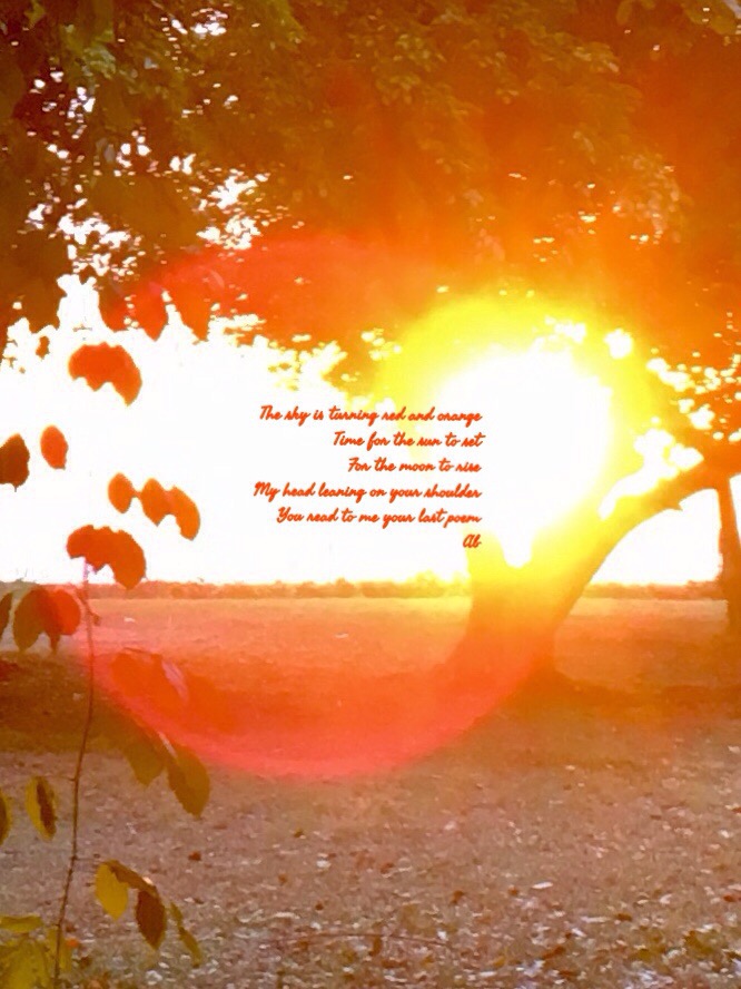 Processed with MOLDIV