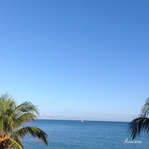 Processed with Moldiv