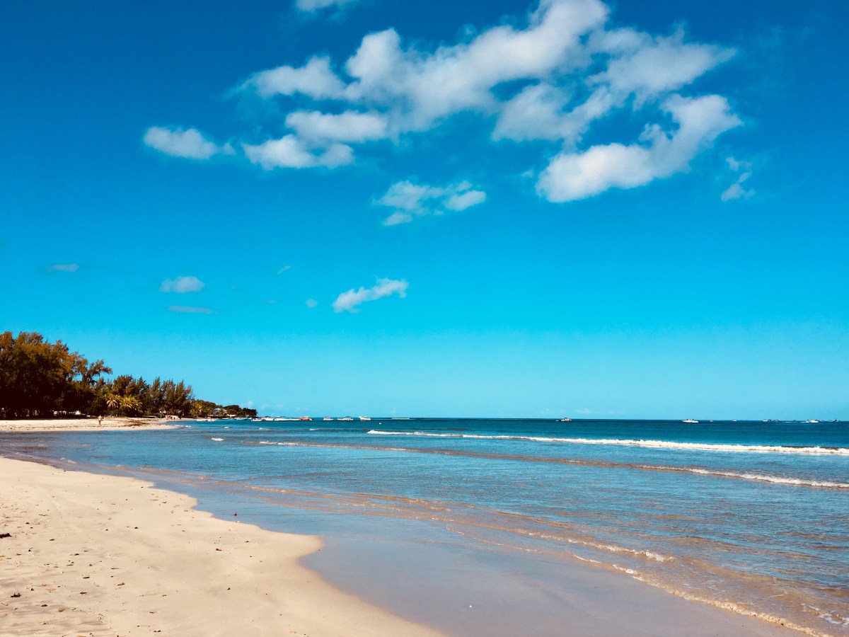 An Island in the&nbsp;Sun