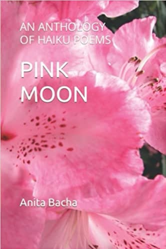 PINK MOON