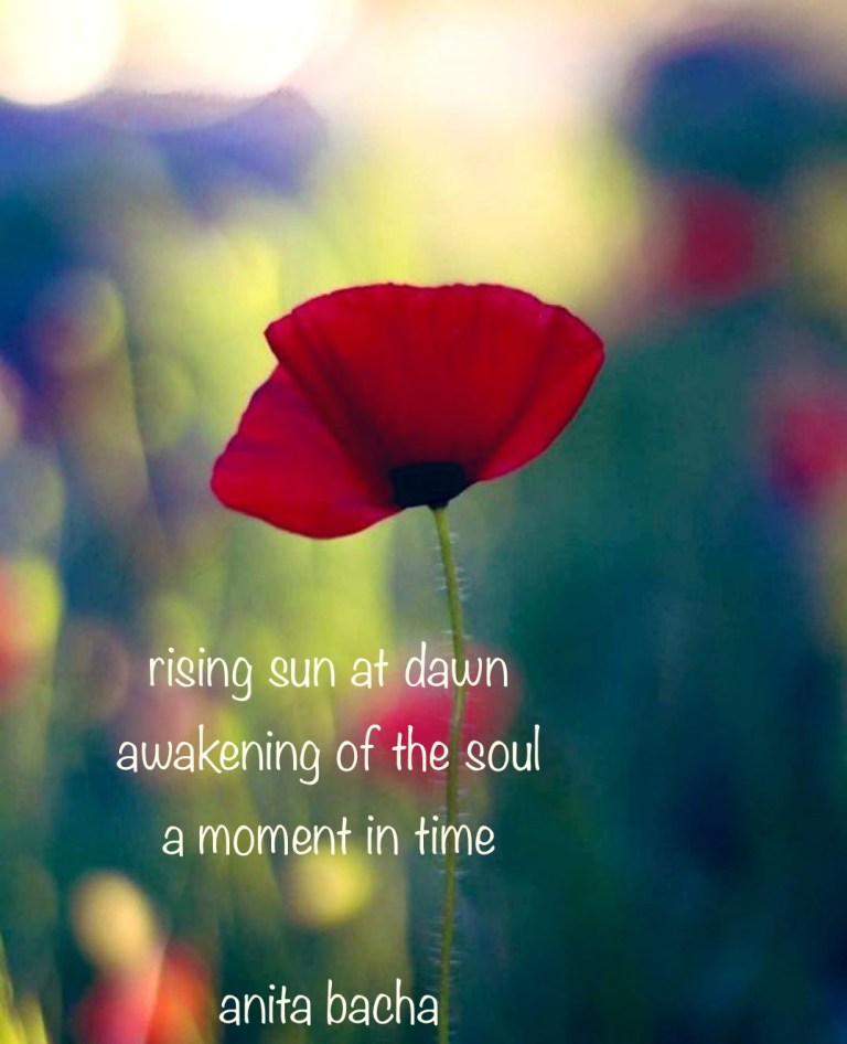 Rising Sun At Dawn – A Haiku Poem by Anita Bacha – Anita Bacha