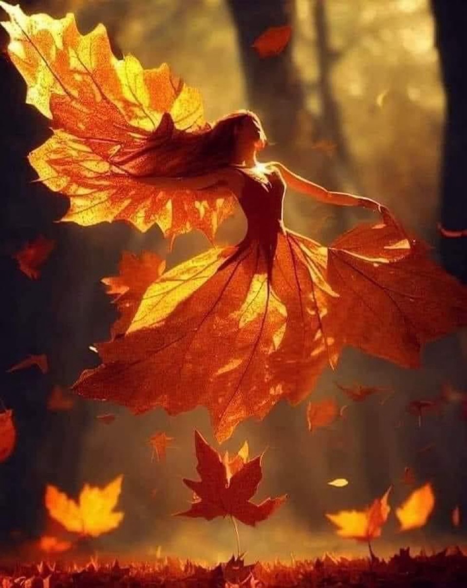 The Fall – Tanka – A Poem by Anita&nbsp;Bacha