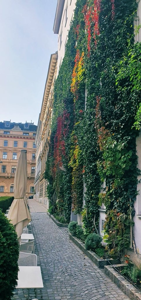 Autumn Leaves Trellis – Haiku – A Poem by Anita&nbsp;Bacha