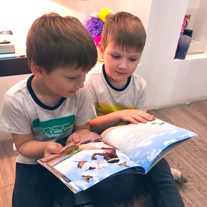 The Princess and the Crow – An Illustrated Children’s Book by Anita&nbsp;Bacha